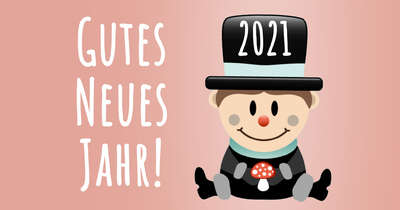 Frohes neues Jahr 2021! - wünscht HILDEGARDS LADEN silvester-2021-blog.jpeg