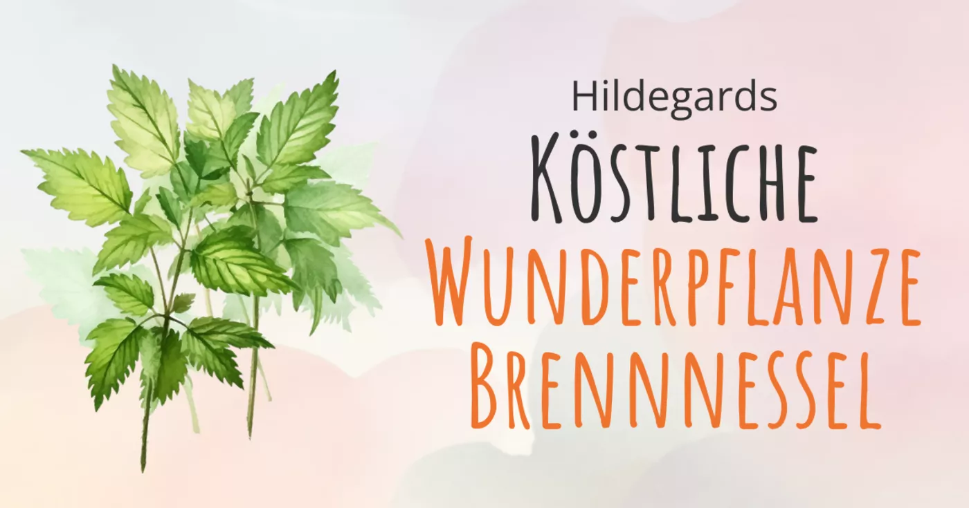 Titelbild: Köstliche Wunderpflanze Brennnessel - Heilkraut des Jahres 2022